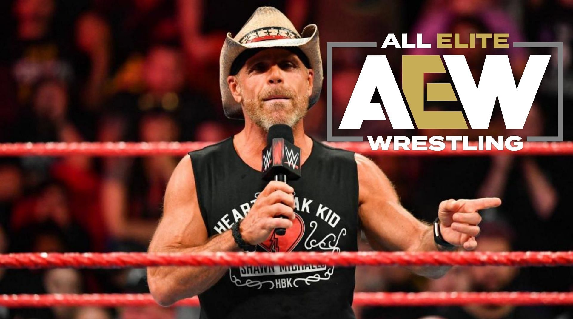 Shawn Michaels is a two-time WWE Hall of Famer.