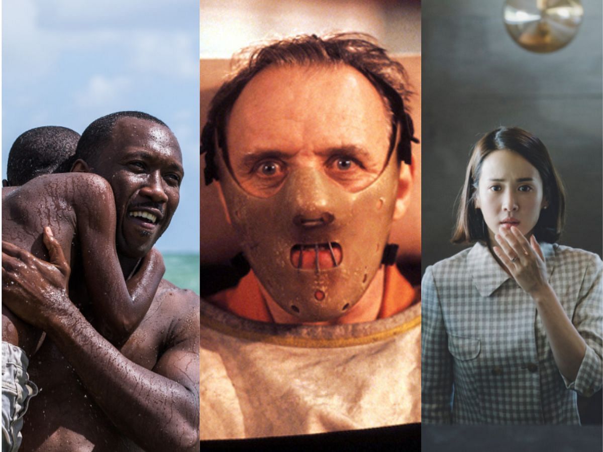 Stills from Moonlight, Silence of the Lambs and Parasite (Images Via Rotten Tomatoes)