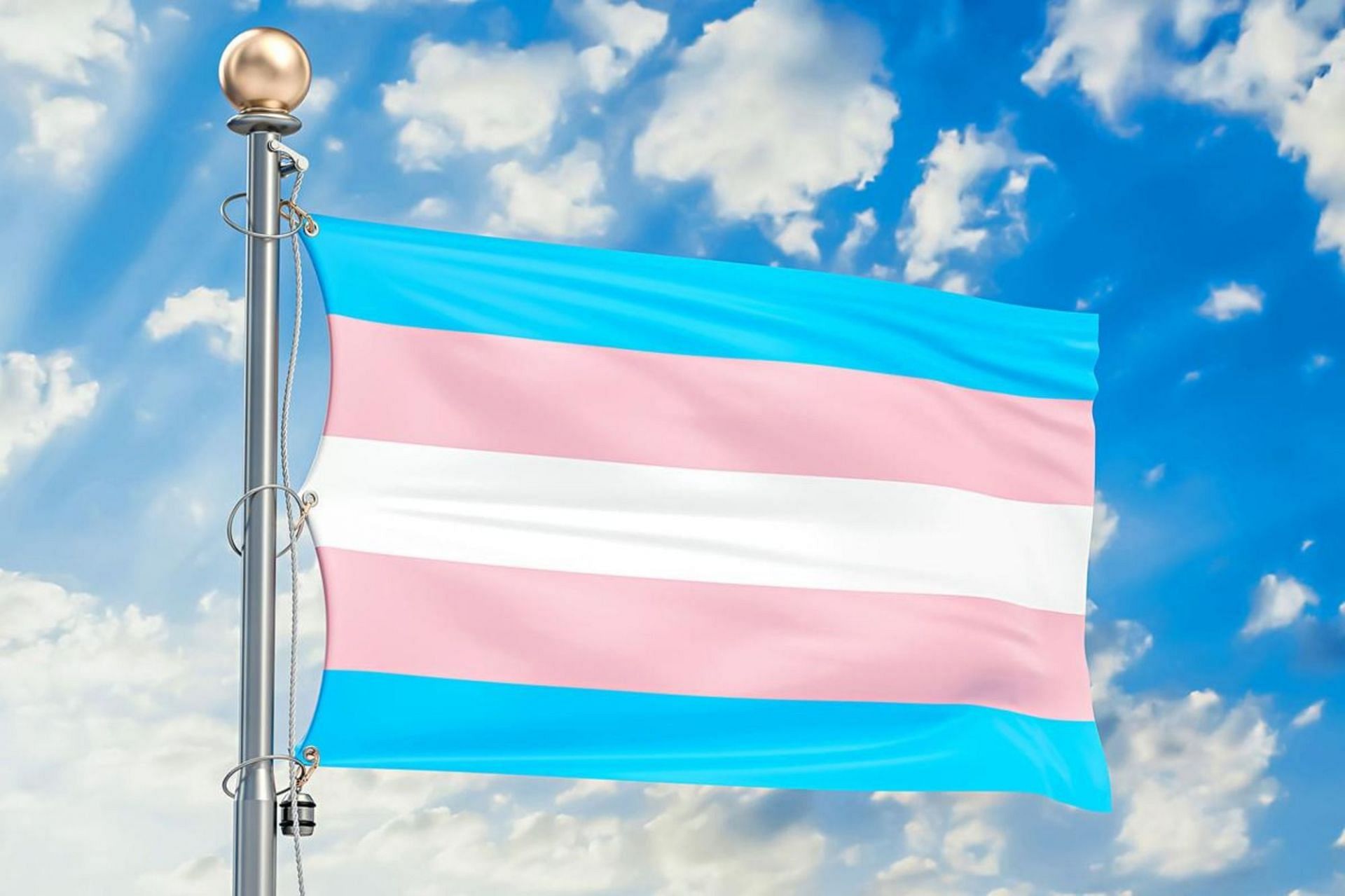 Trans Day of Vengeance sparks concern in light of Nashville school shooting (Image via Getty Images)