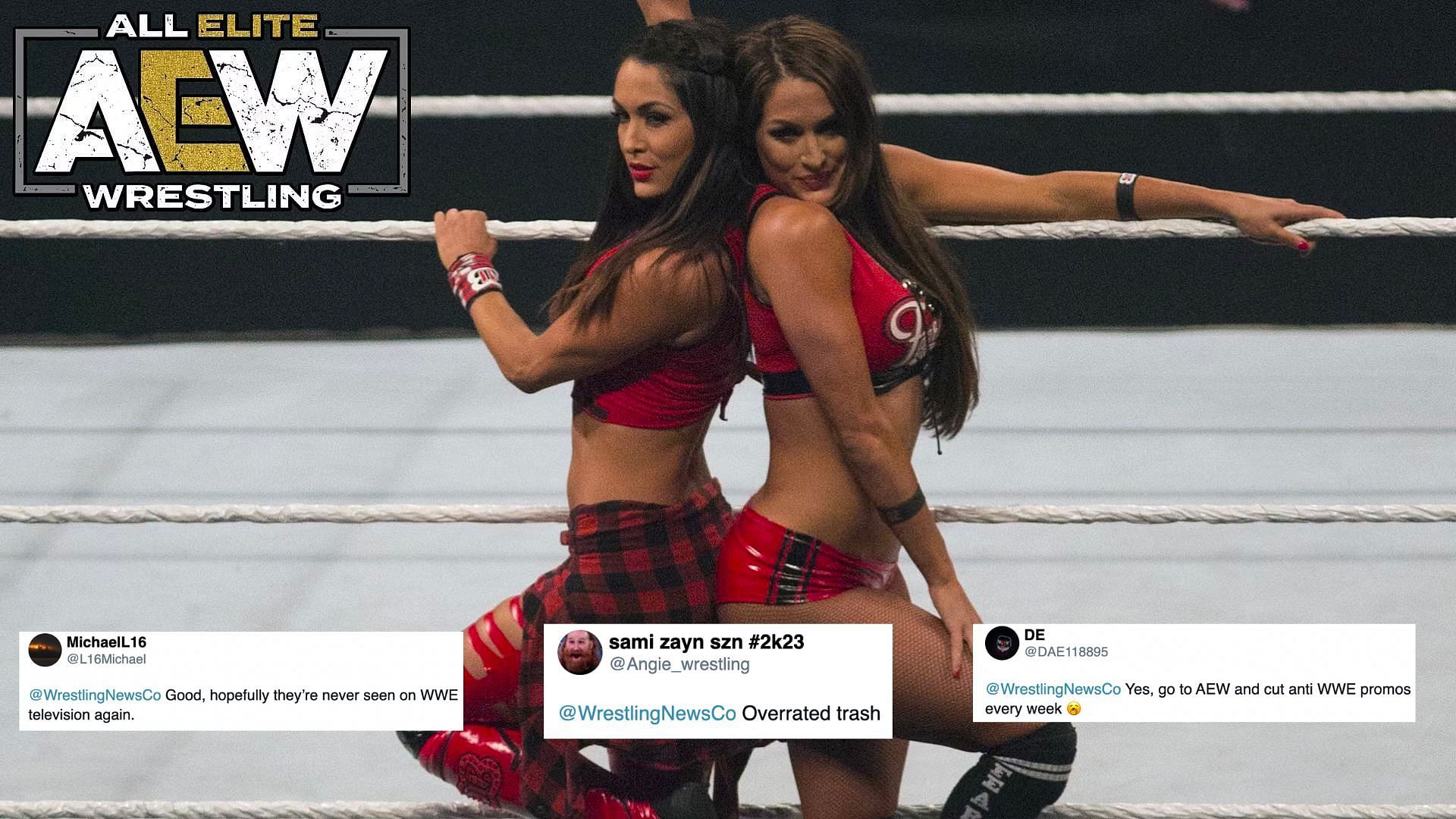 The Bella Twins are WWE legends