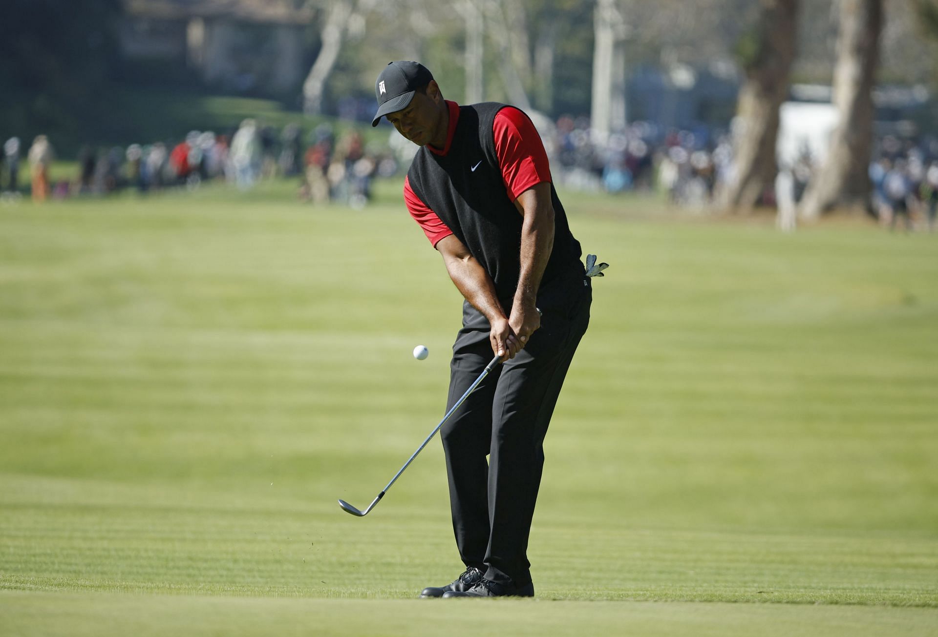 Tiger Woods at the The Genesis Invitational - Final Round