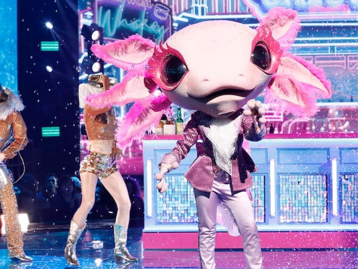 Axolotl gets eliminated from the show after her first performance (Image via Fox)