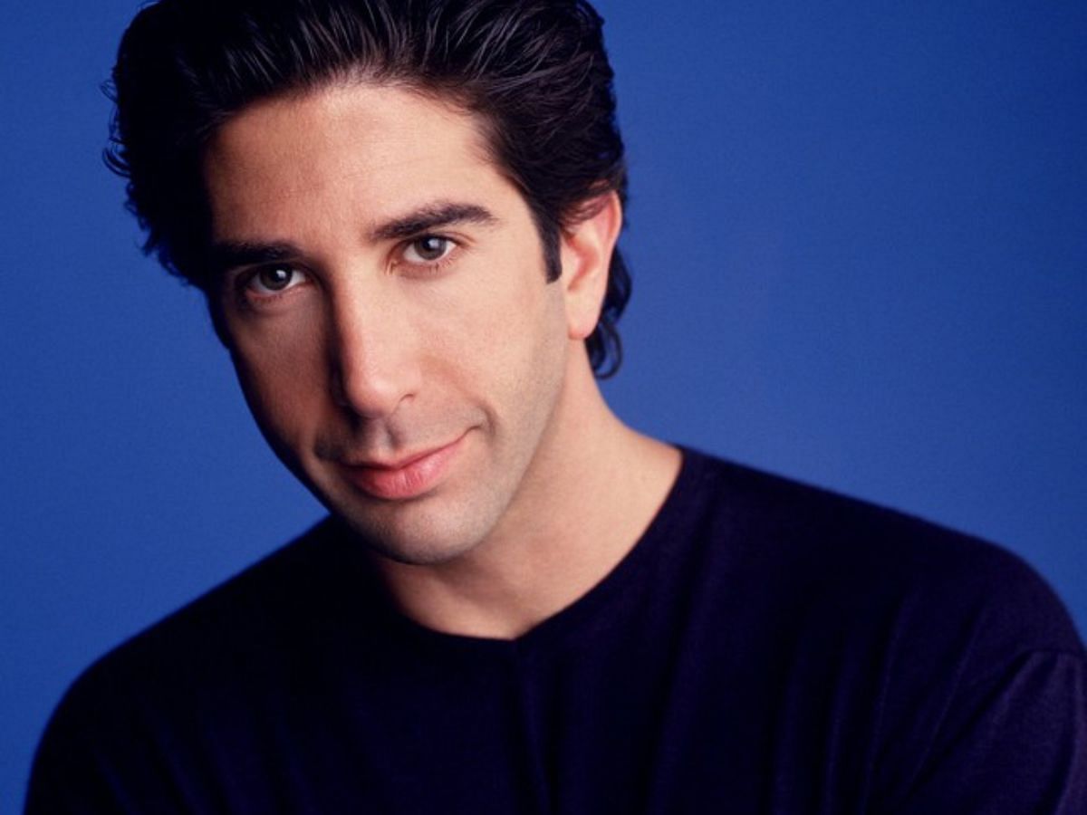 A still of David Schwimmer as Ross Geller (Image Via Rotten Tomatoes)