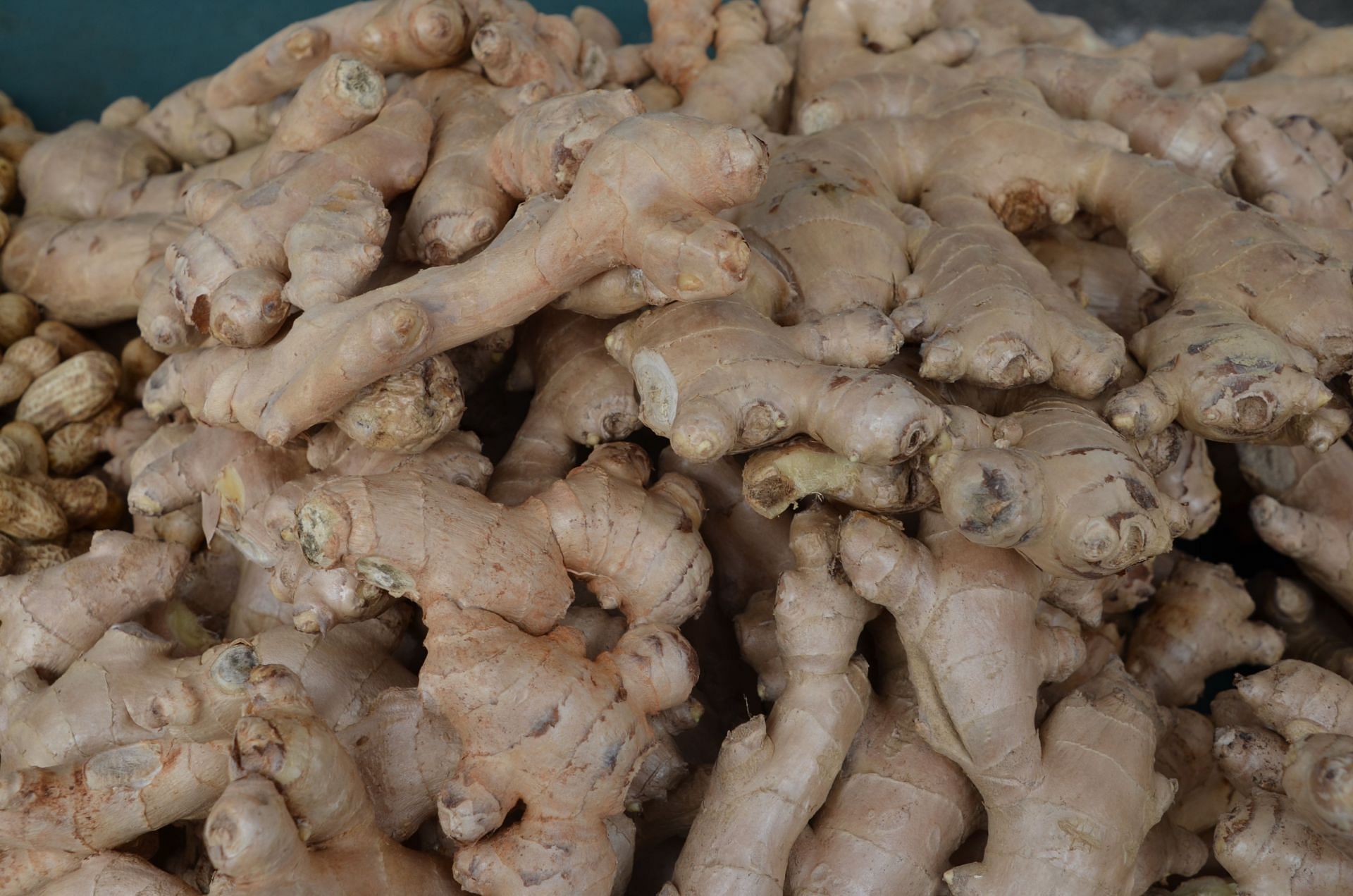 Ginger contains compounds like gingerols and shogaols that aid in relieving nausea (Image via Unsplash/Donghun Shin)