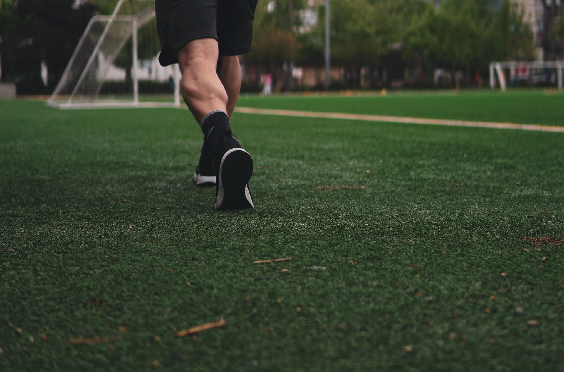 Calves are essential to a leg workout routine (Darpan/ unsplash)