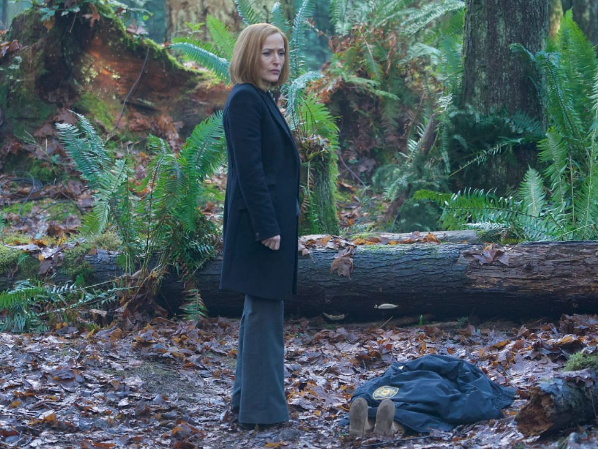 A still of Gillian Anderson as Dana Scully in The X-Files (Image Via IMDb)