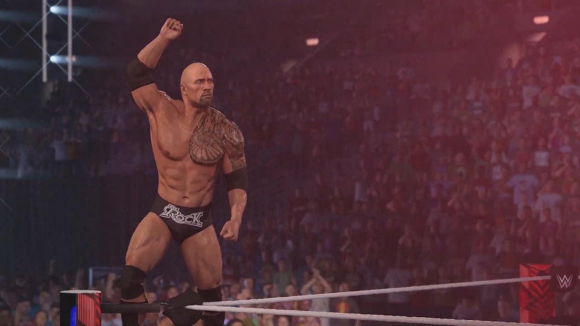 The Rock, Pro Wrestling