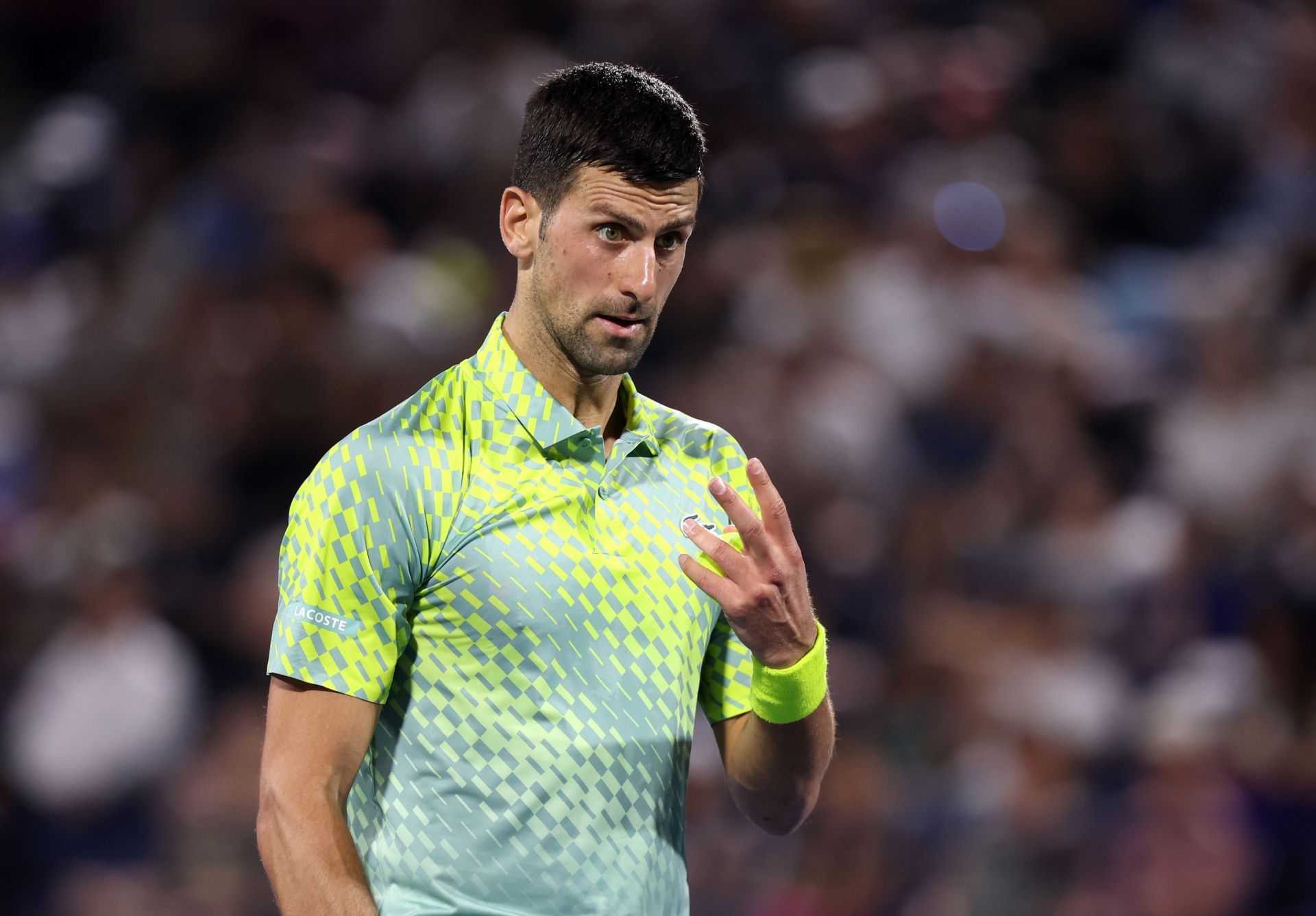 Novak Djokovic at the Dubai Duty Free Tennis