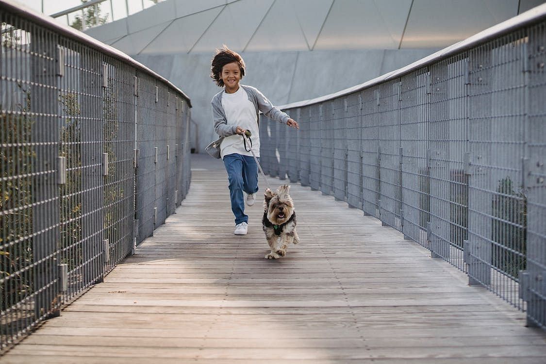 How Covid-19 Impacted Our Step Count: Importance of walking daily (Image via Pexels/Sam Lion)