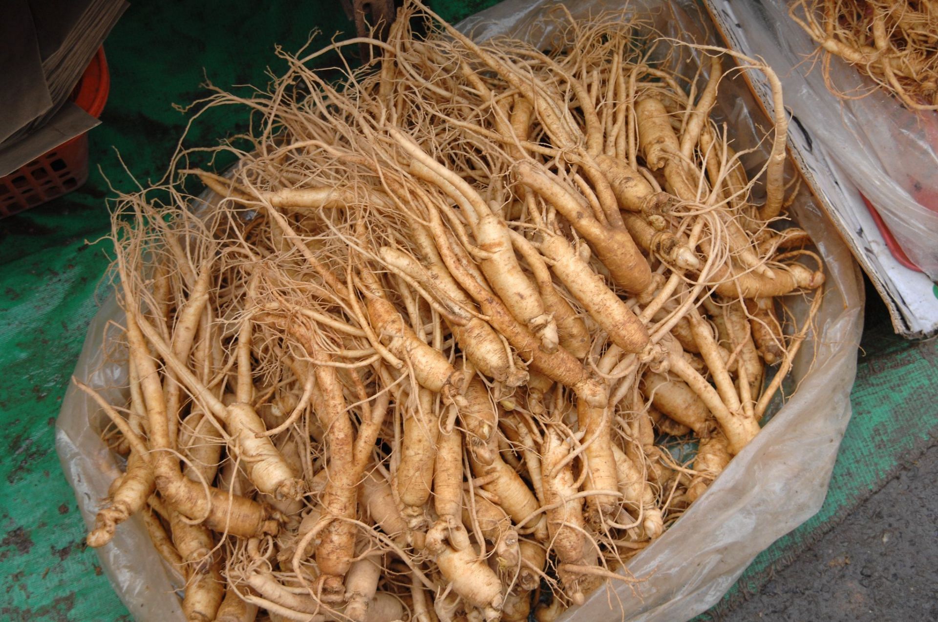 Red ginseng is often used to improve heart health, boost immunity and other health conditions (Image via Flickr)
