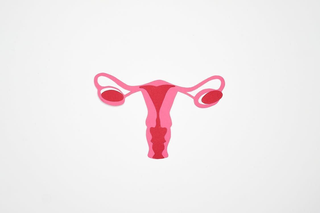 Endometriosis affects an estimated 10% of women of reproductive age. (image via pexels/nazehzda moryak)