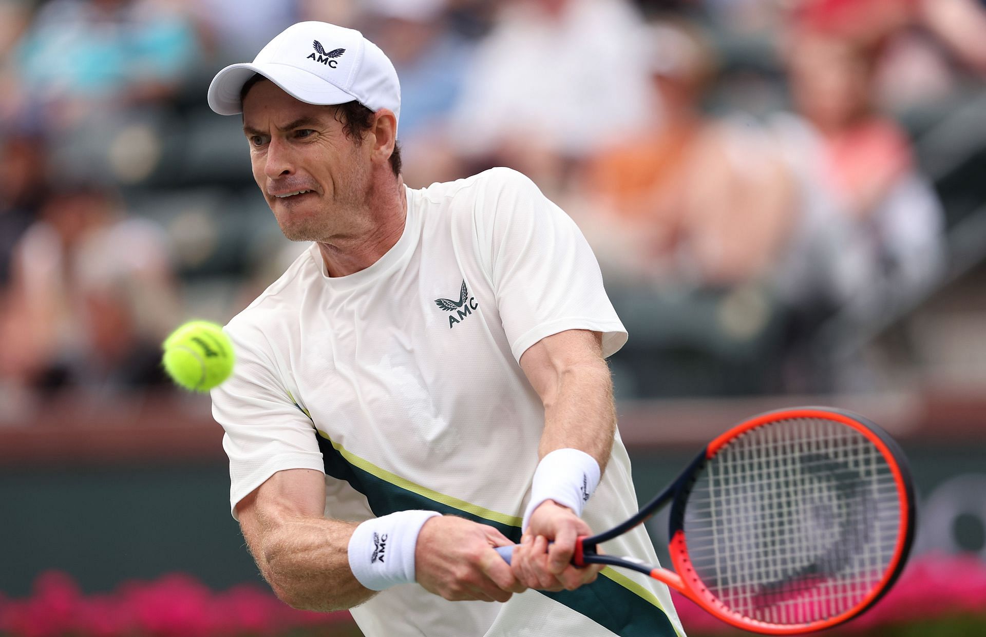 Andy Murray competes against Radu Albot at Indian Wells 2023.