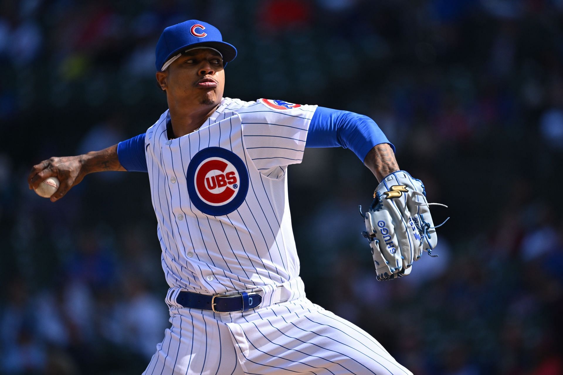 Chicago Cubs Fans Celebrate Marcus Stroman Naming Himself Teams