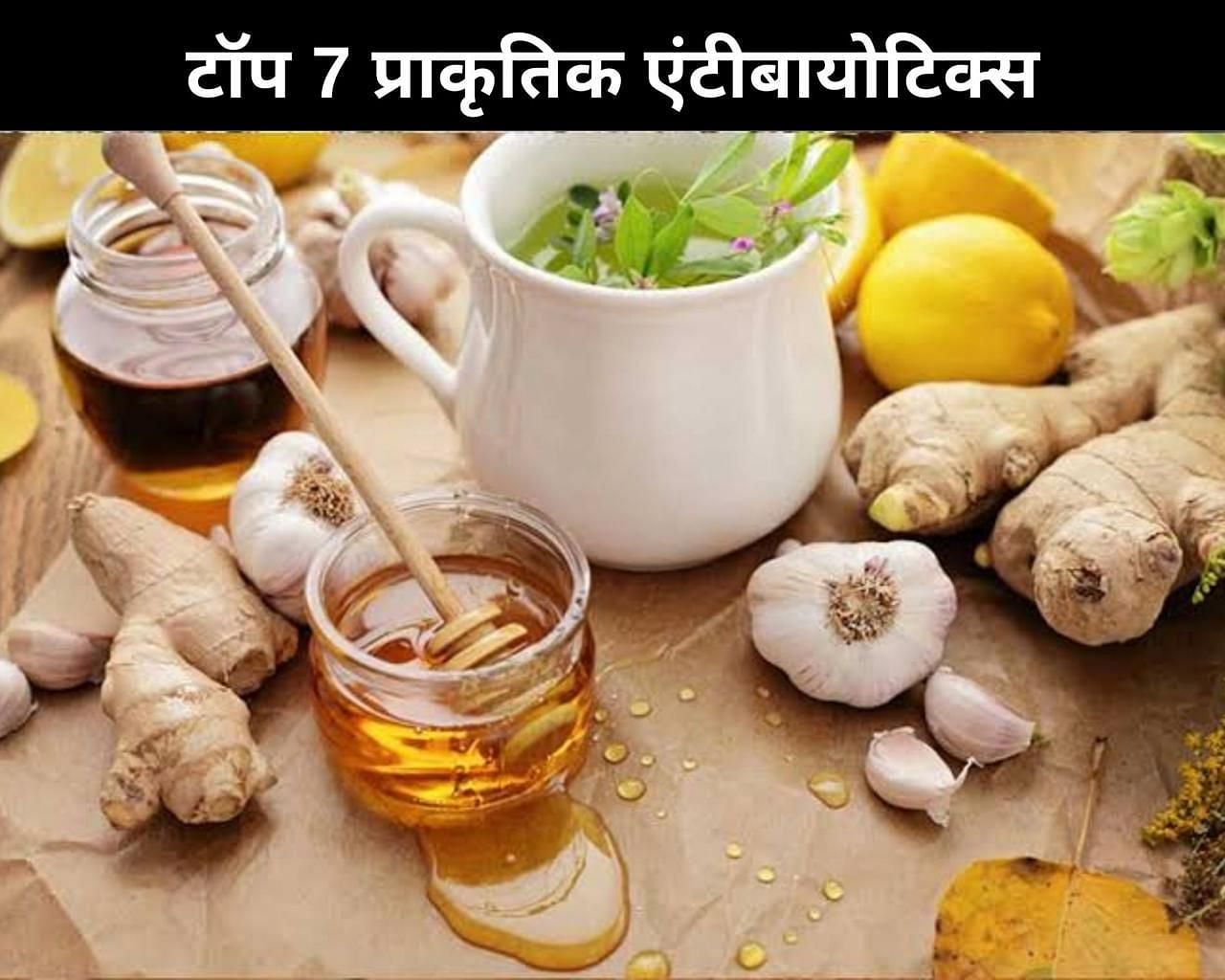 टॉप 7 प्राकृतिक Anti-biotics (फोटो - sportskeedaहिन्दी)