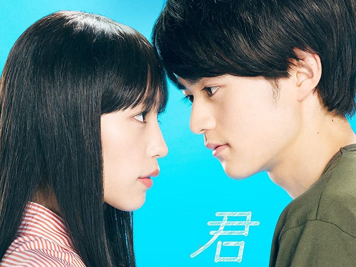 Poster for From Me to You: Kimi ni Todoke (Image Via IMDb)