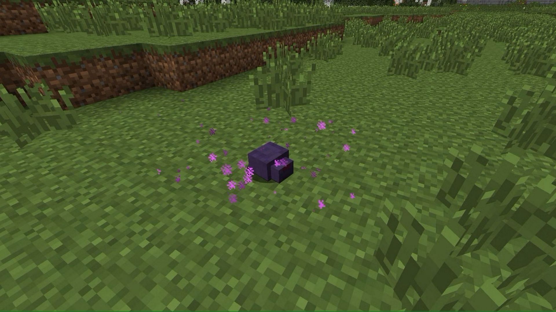 Endermites rarely spawn and are pretty annoying to deal with in Minecraft (Image via Mojang)
