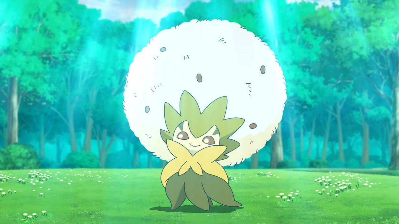Eldegoss as it appears in the anime (Image via The Pokemon Company)