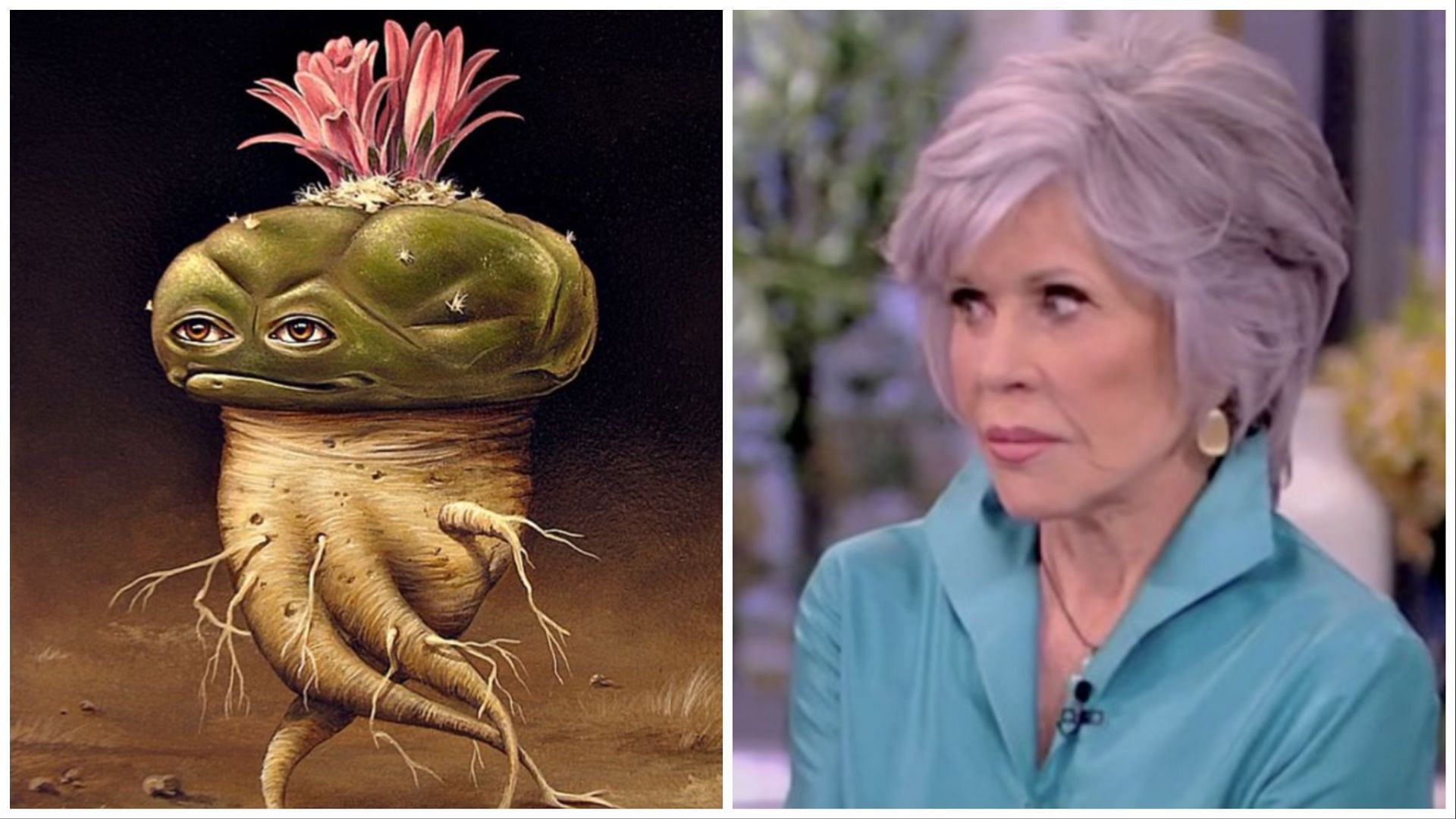 Peyote and Jane Fonda (Image via Twitter/letsgetstoned00 and LemayTulsi)