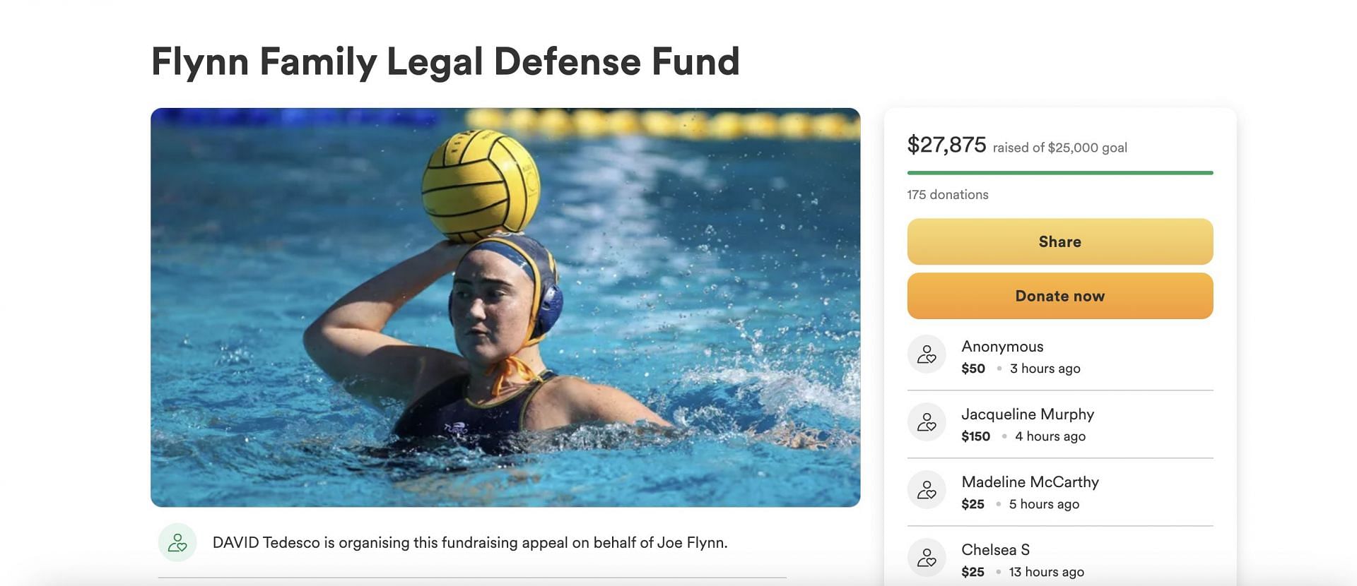 The GoFundMe page has collected more than $27,000 for Nina Flynn&#039;s defense. (Image via GoFundMe)