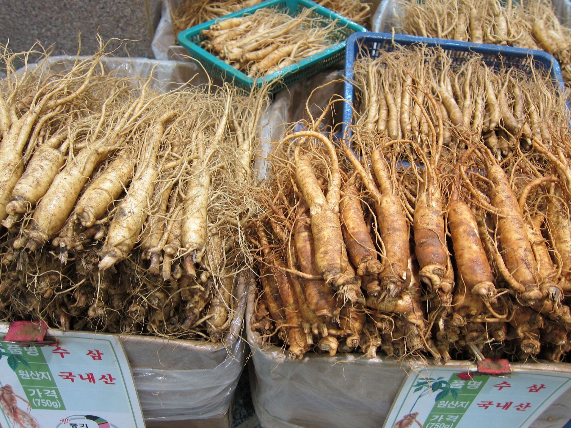 Red ginseng is the root of a plant that is harvested for its amazing health benefits (Image via Flickr)