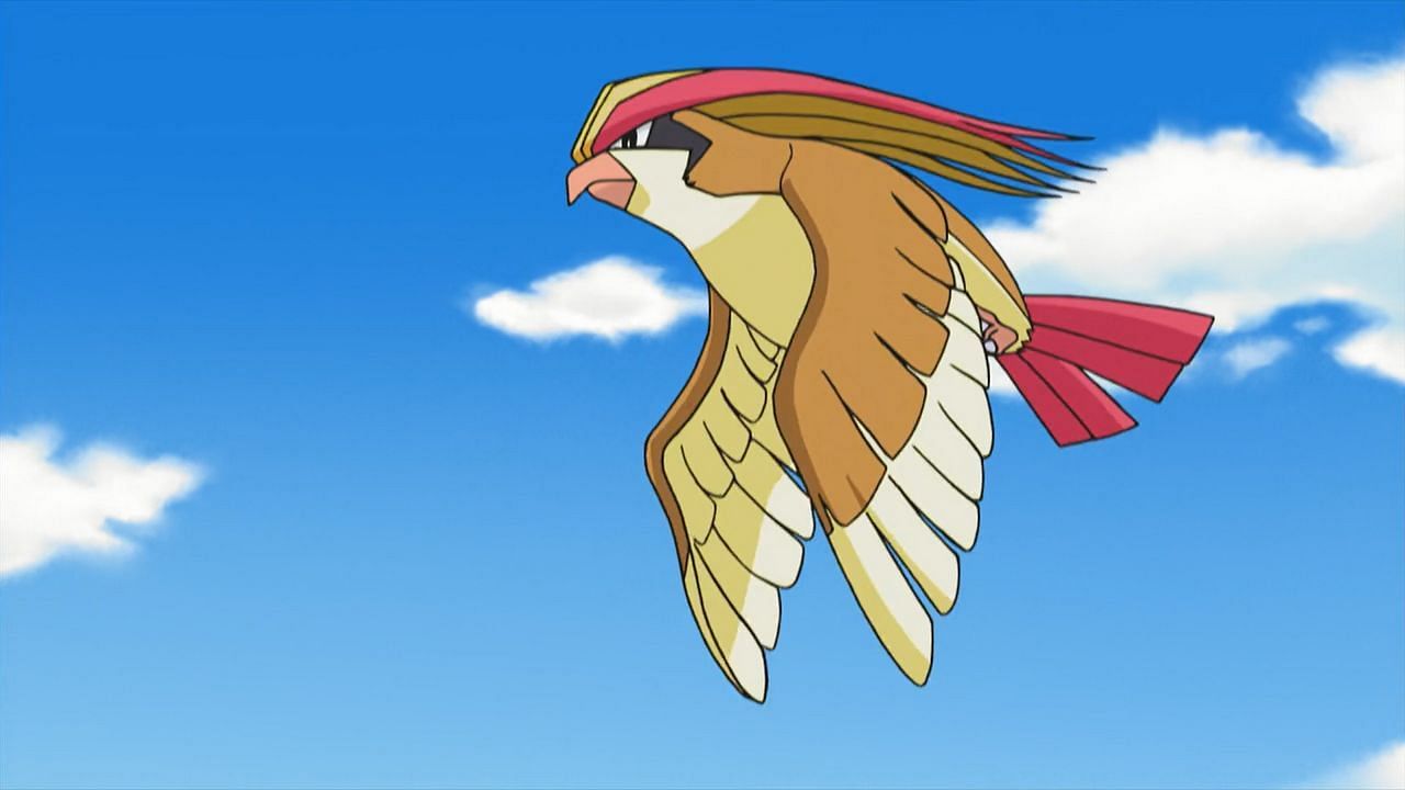 Pidgeot as it appears in the anime (Image via The Pokemon Company)