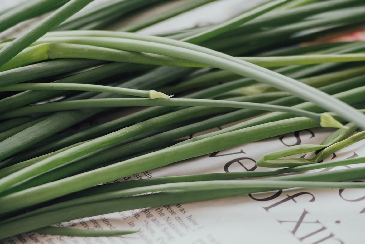 Benefits of lemongrass tea (Image via Unsplash/Chuttersnap)