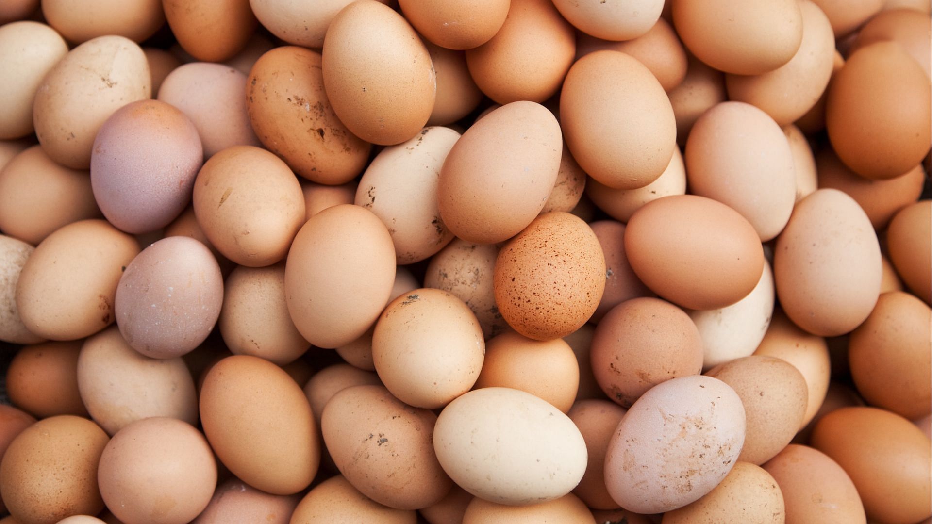 all Dollar Tree stores across the country will stop selling eggs in the coming days and/or weeks (Image via Nikada/Getty Images)