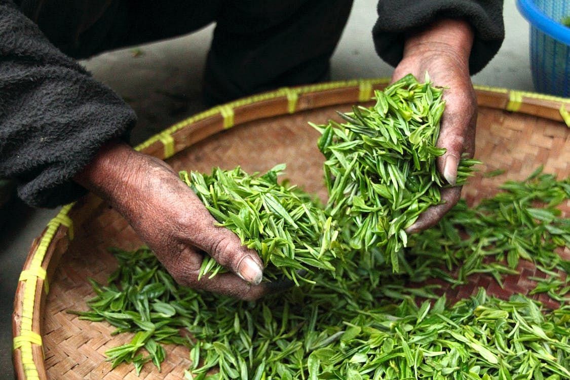 Benefits of lemongrass tea: Promotes digestion (Image via Pexels/Pixabay)