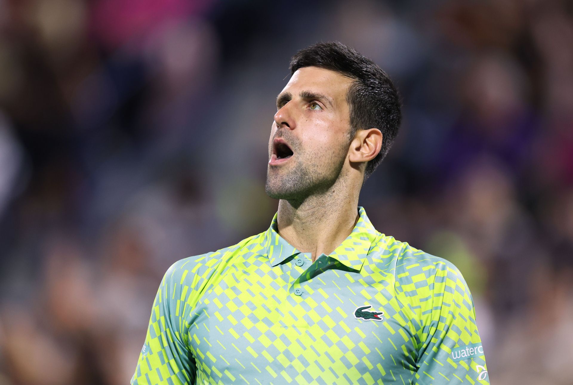 Djokovic finds 'another gear' to down Machac in Dubai opener