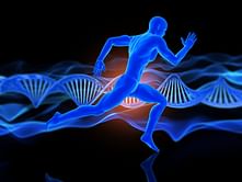 Unlocking genetics: Enabling the athlete's inborn capacity