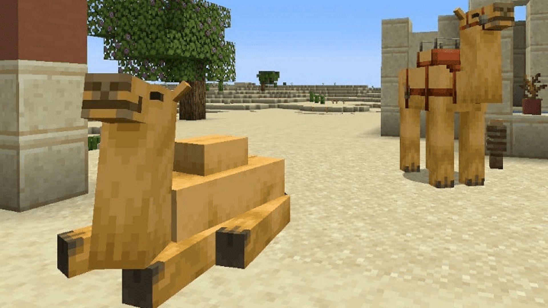 Camels are new desert mobs arriving in Minecraft