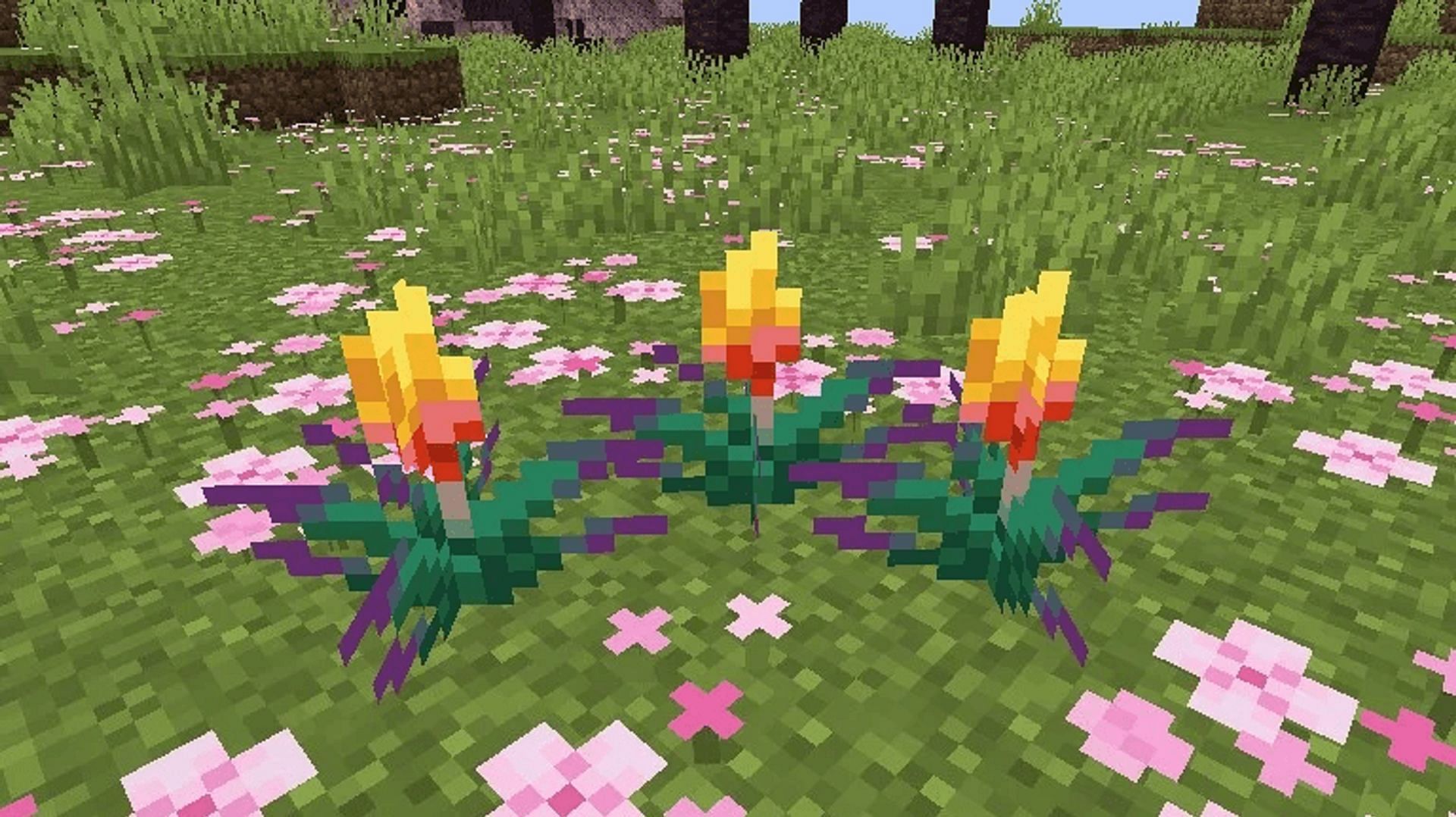 A small cluster of planted torchflowers in Minecraft (Image via u/Orange_03/Reddit)