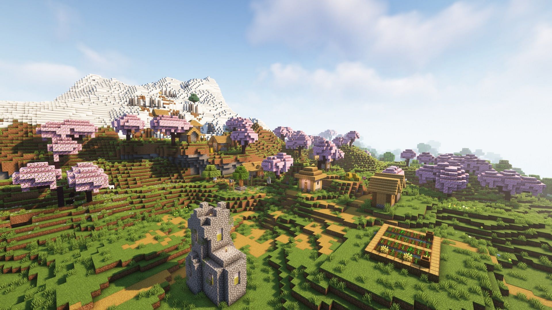 A plains biome village next to cherry groves biome (Image via Mojang)