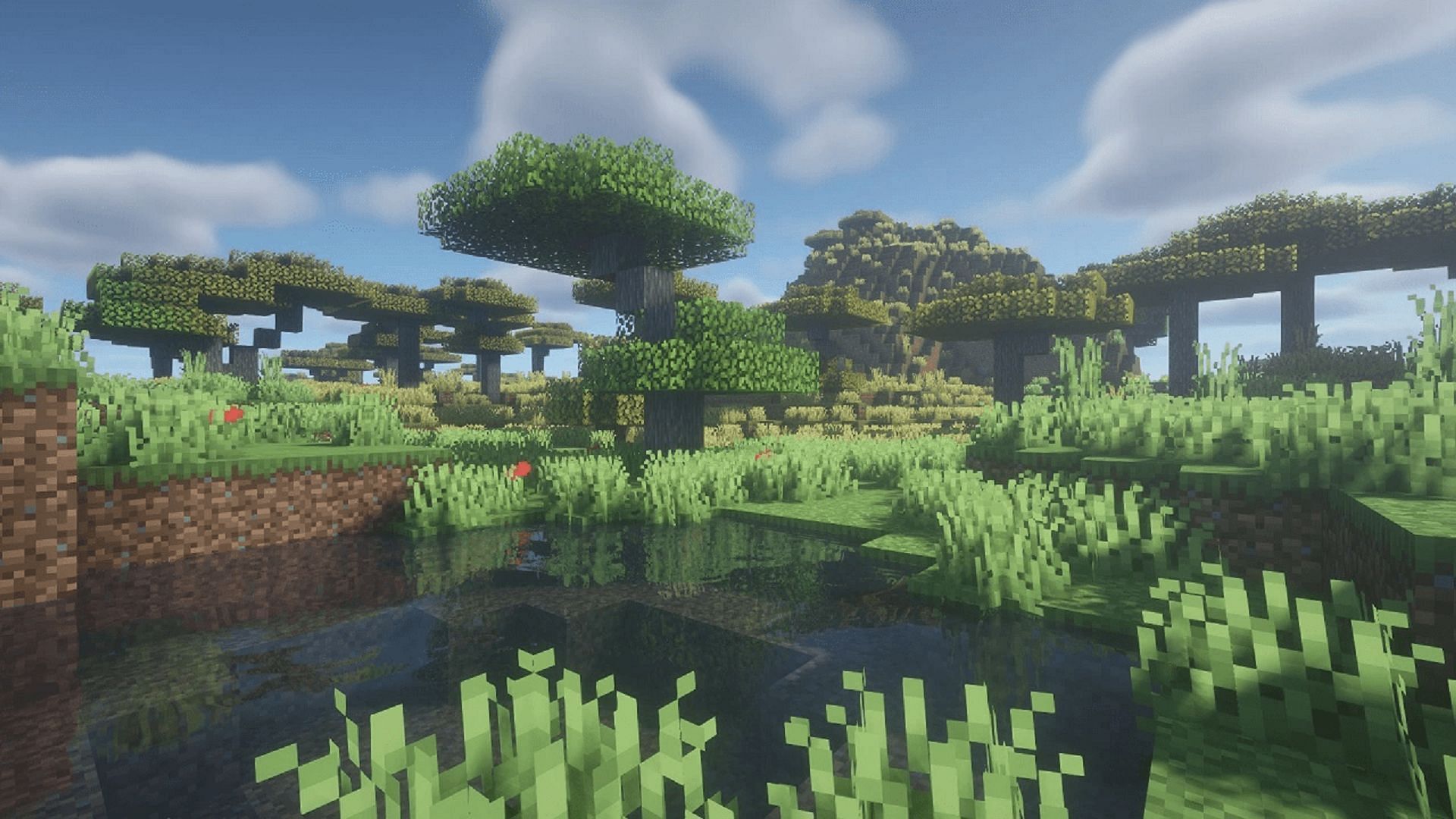 A savanna biome rendered in BSL Shaders (Image via BSLshaders.com)