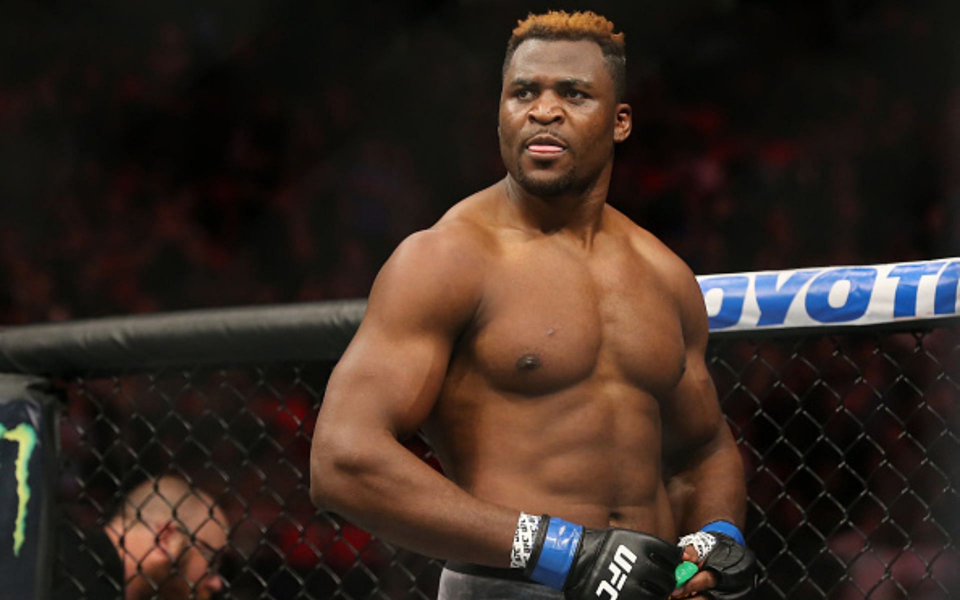 Francis Ngannou (Image credit: Getty Images)