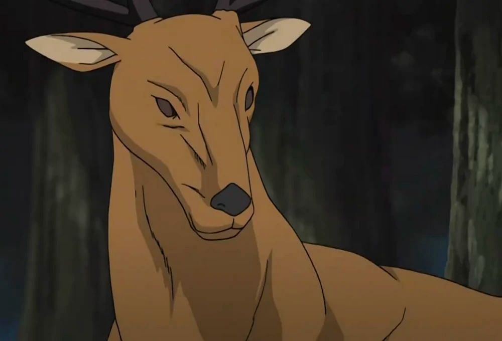 Who is Rikumaru in Naruto?