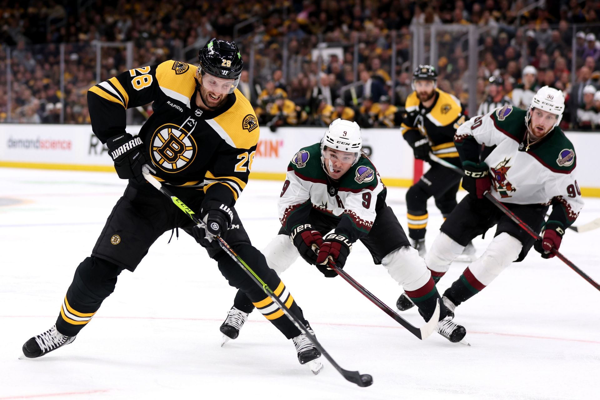 Arizona Coyotes v Boston Bruins