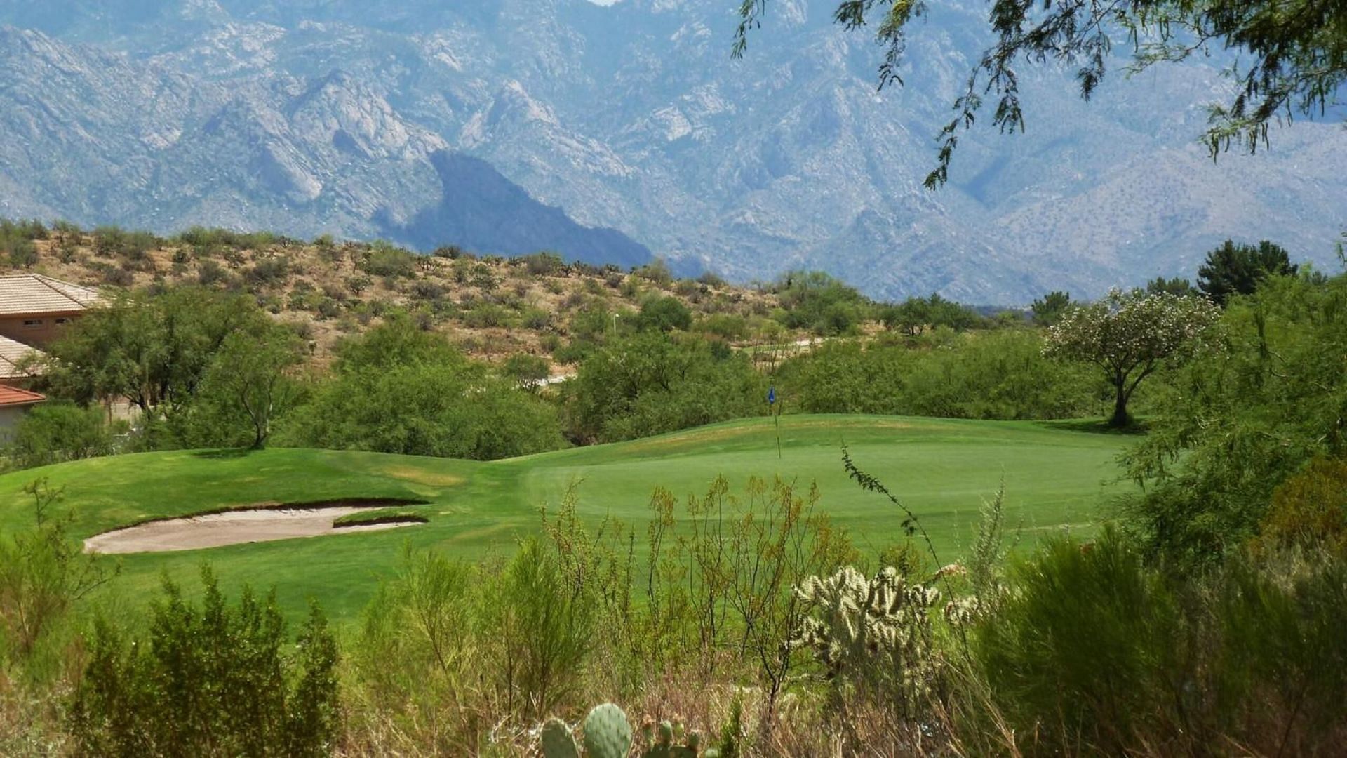 The Mountain View Collegiate event is being played at Mountain View Golf Club in Tucson, Arizona