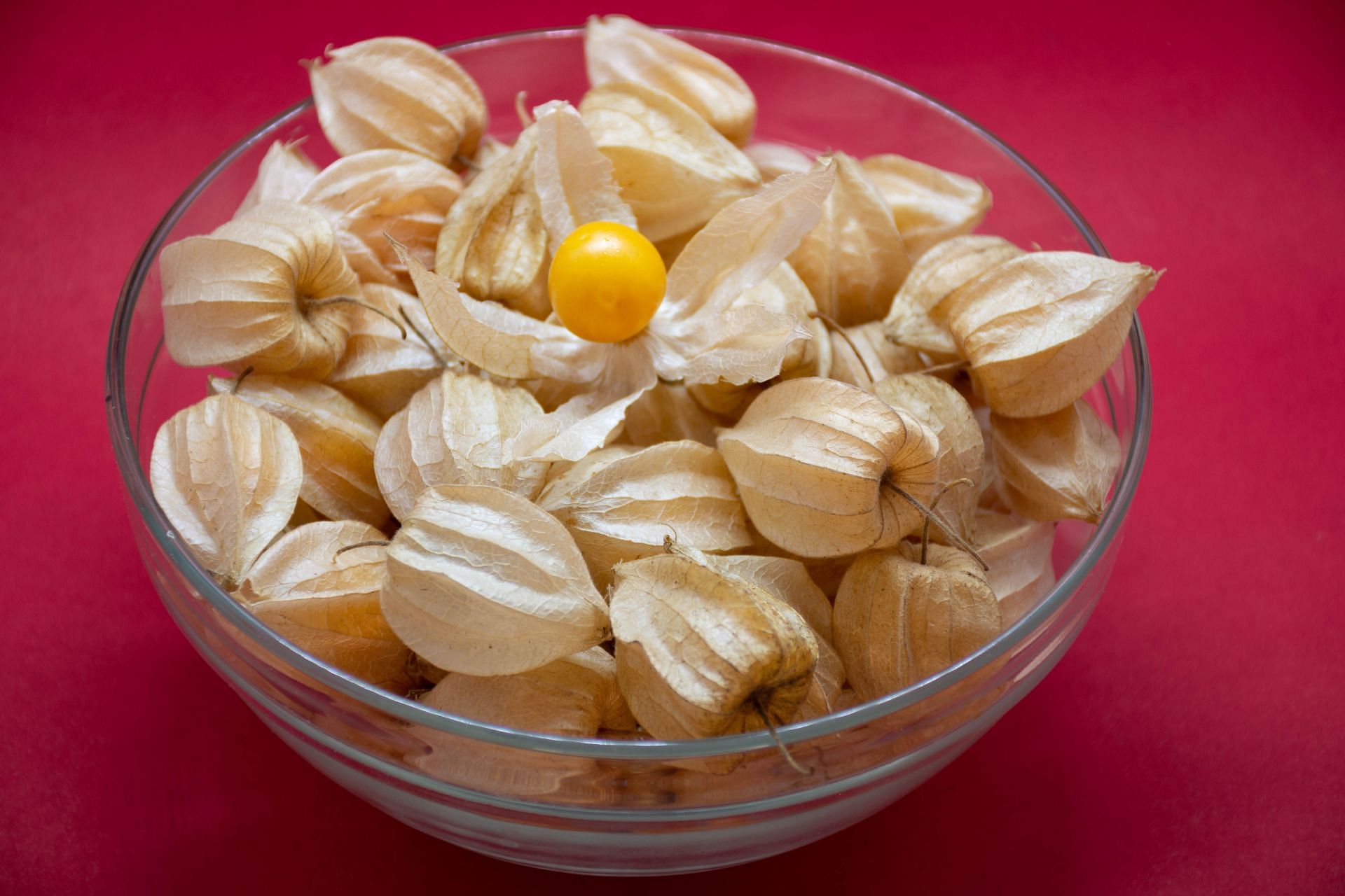 Get an energy boost with Physalis&#039; carbohydrates and Vitamin B complex. (Image via Pexels)