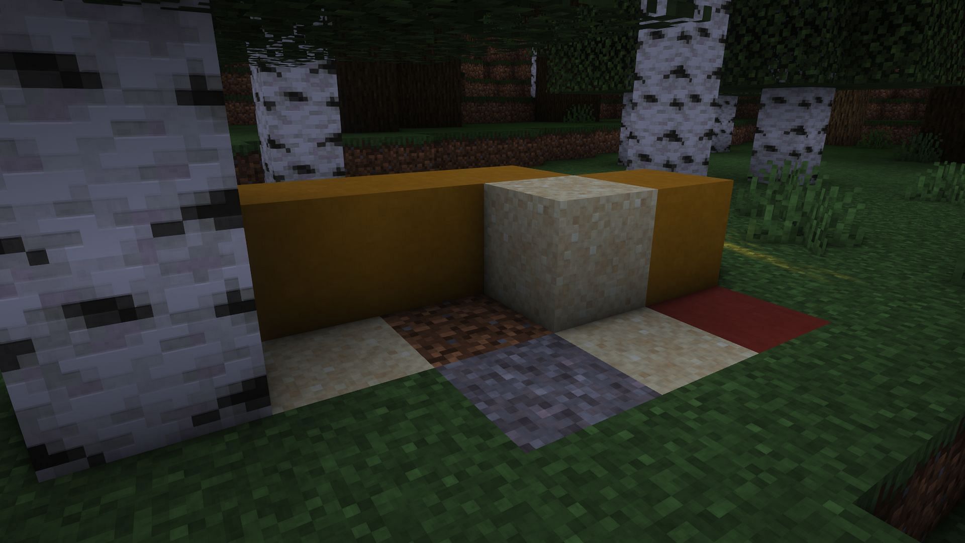 The exposed part of a trail ruin in Old Growth Birch Forest biome (Image via Mojang)