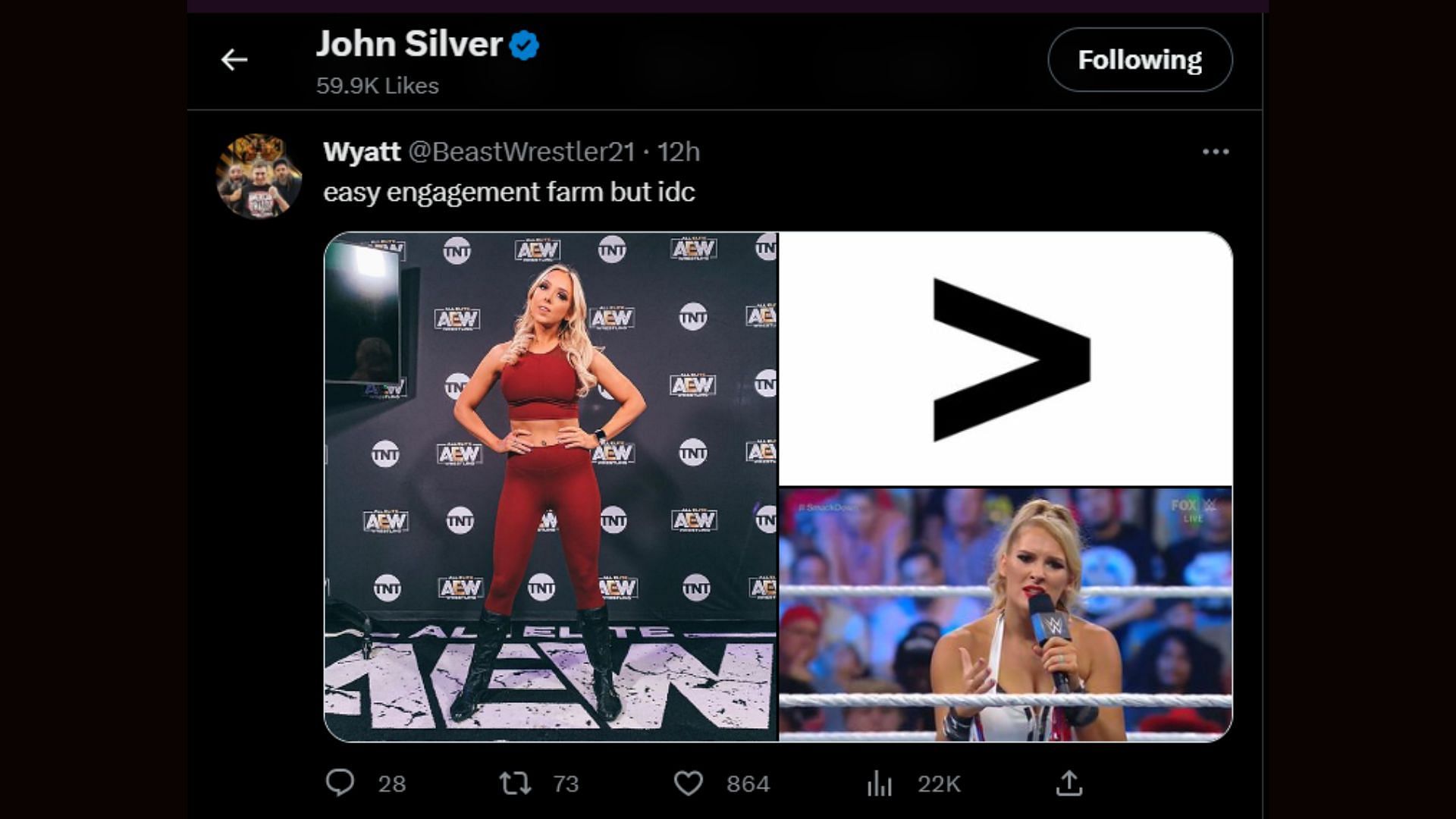 John Silver recently liked a tweet about the Bunny being better than Lacey Evans