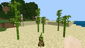 How to make bamboo farm in Minecraft (2023)
