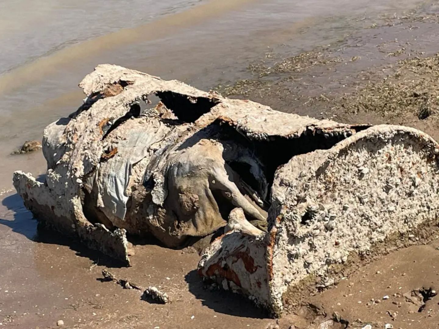 Skeletal  remains were found inside a barrel along the receding shoreline of Lake Mead (Image via Shawna Elizabeth Hollister)
