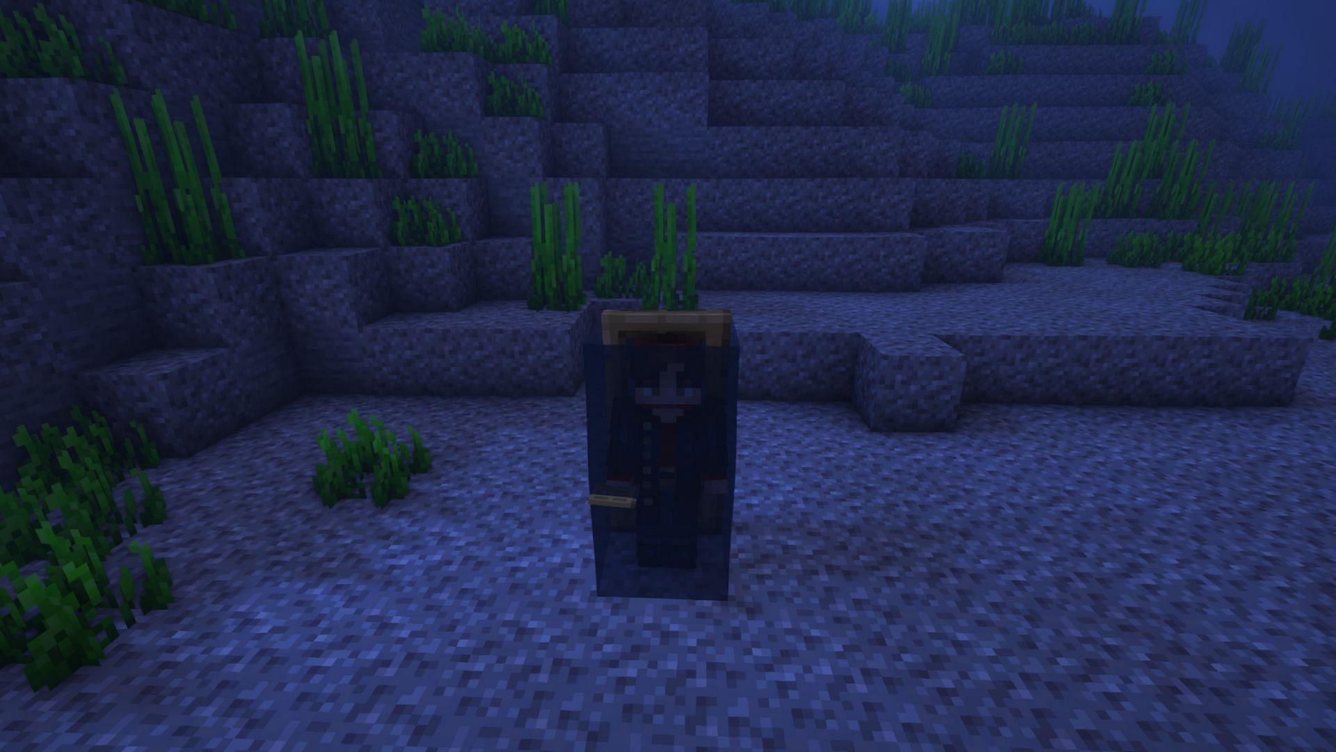 A player standing in the air gap created by the door (Image via Mojang)