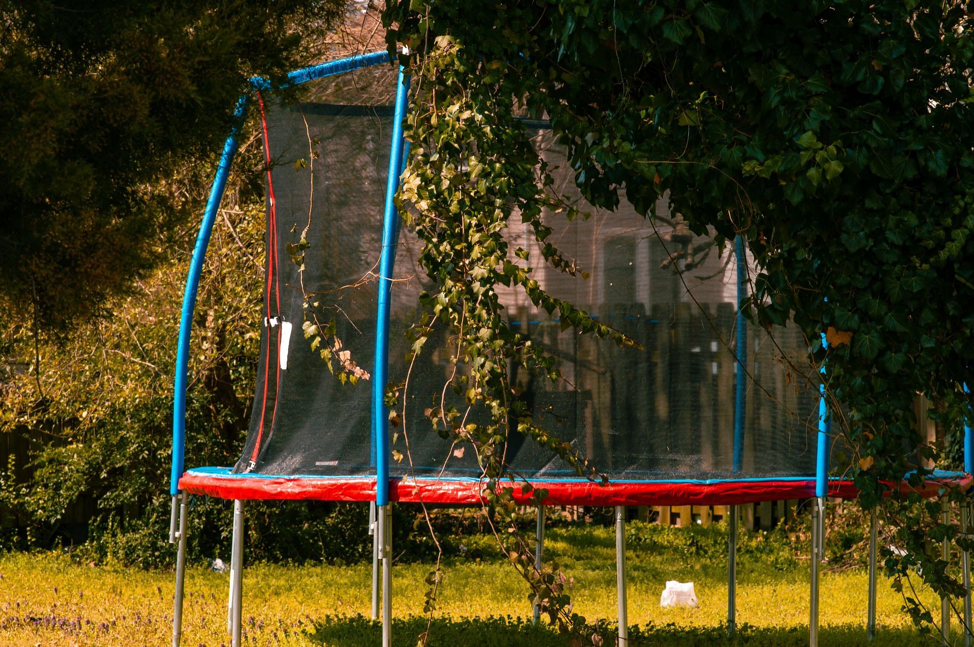 Jumping on a trampoline helps burn more calories. (Image via Unsplash/Shay )