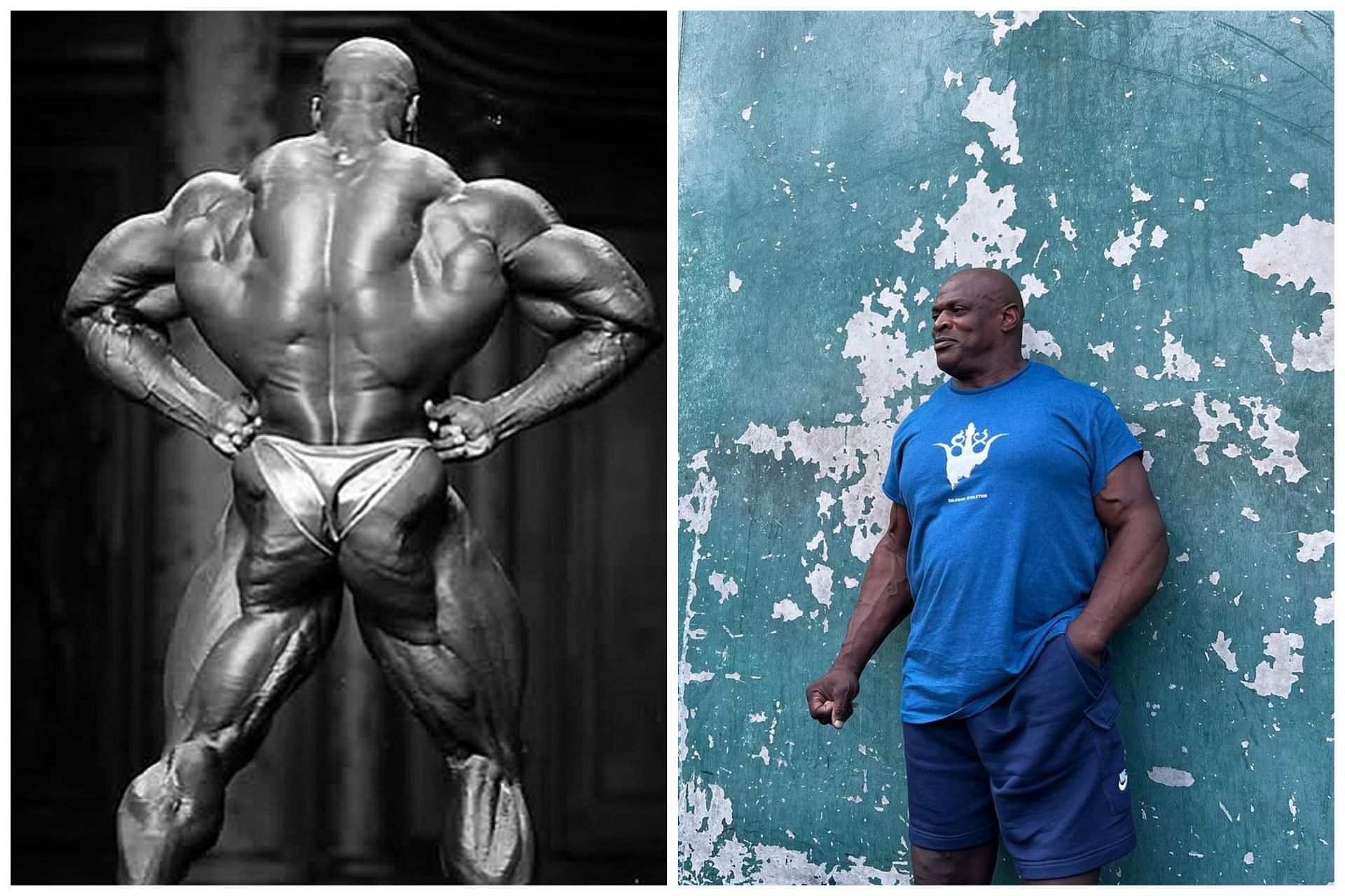 How Flex Wheeler Works Out For A Full Body Pump