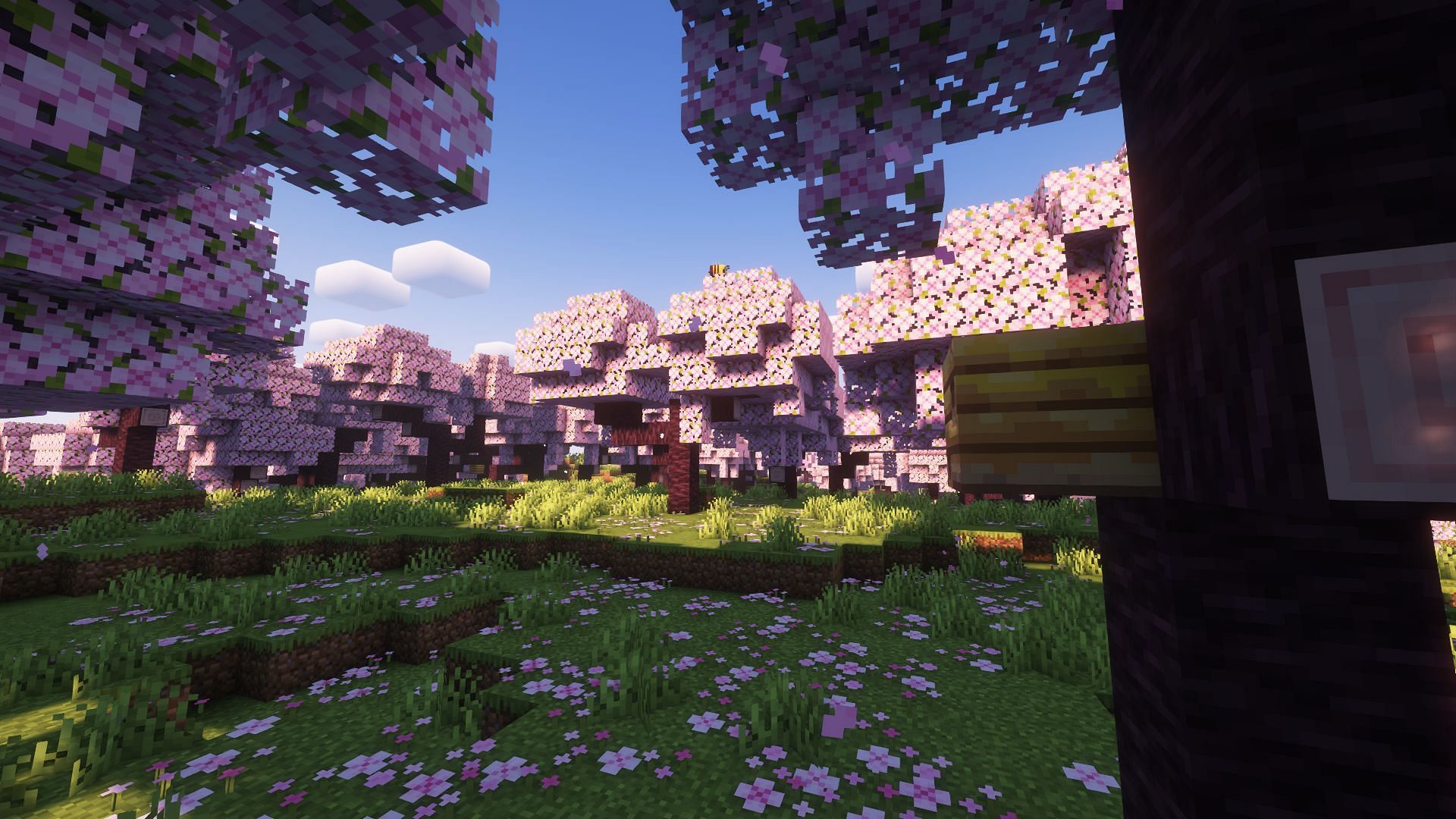 Cherry logs can be obtained here (Image via Mojang)