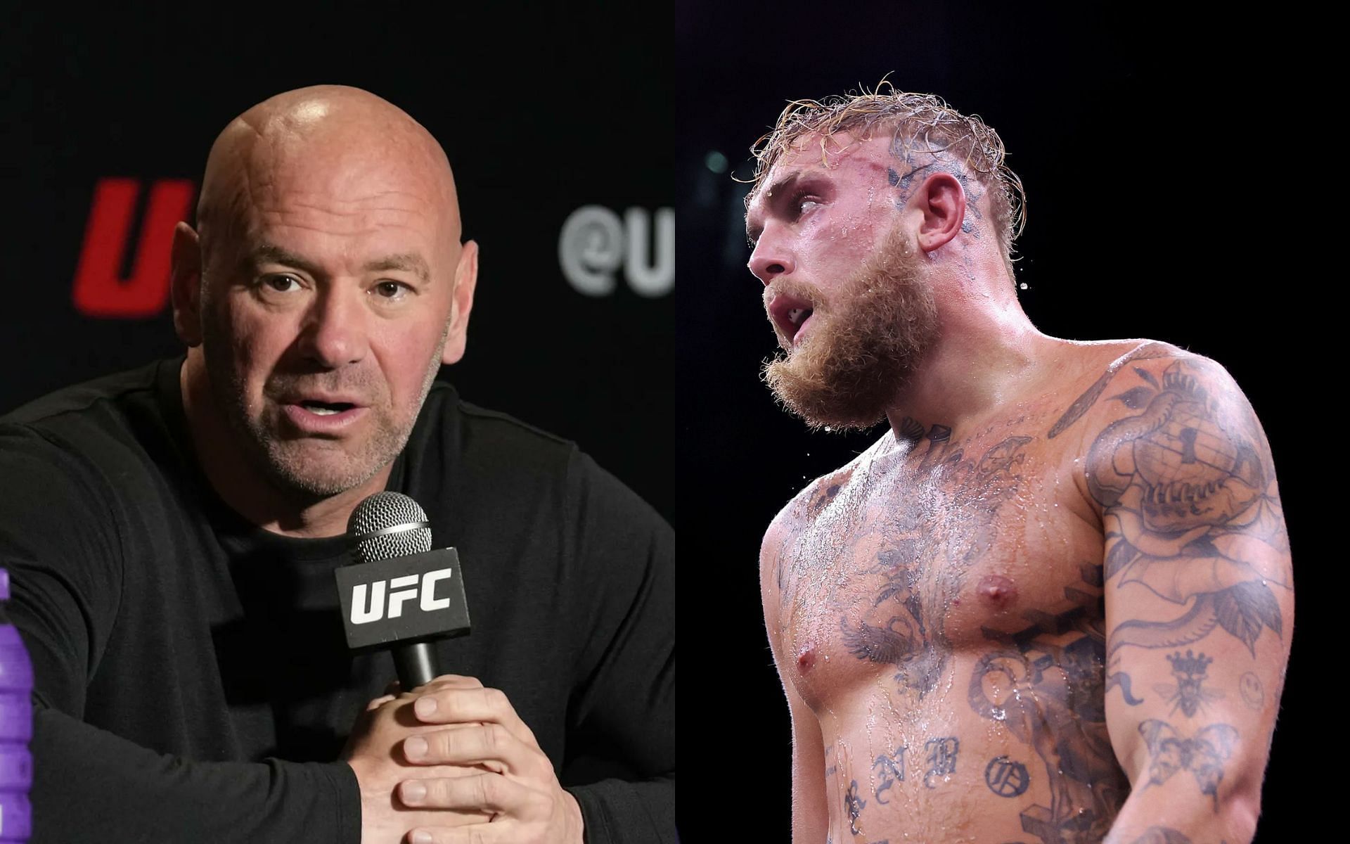 Dana White [Left] Jake Paul [Right] [Images courtesy: @MMAFighting (Twitter)]