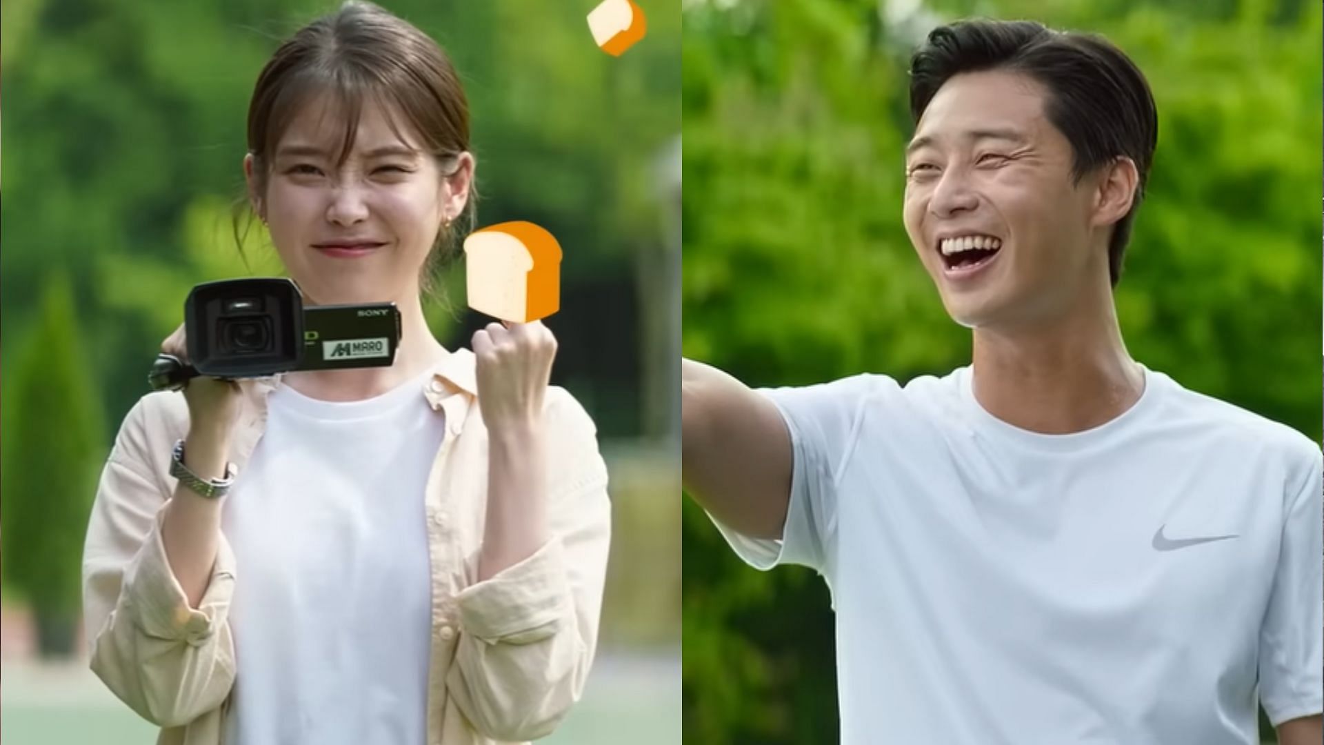 IU and Park Seo-joon