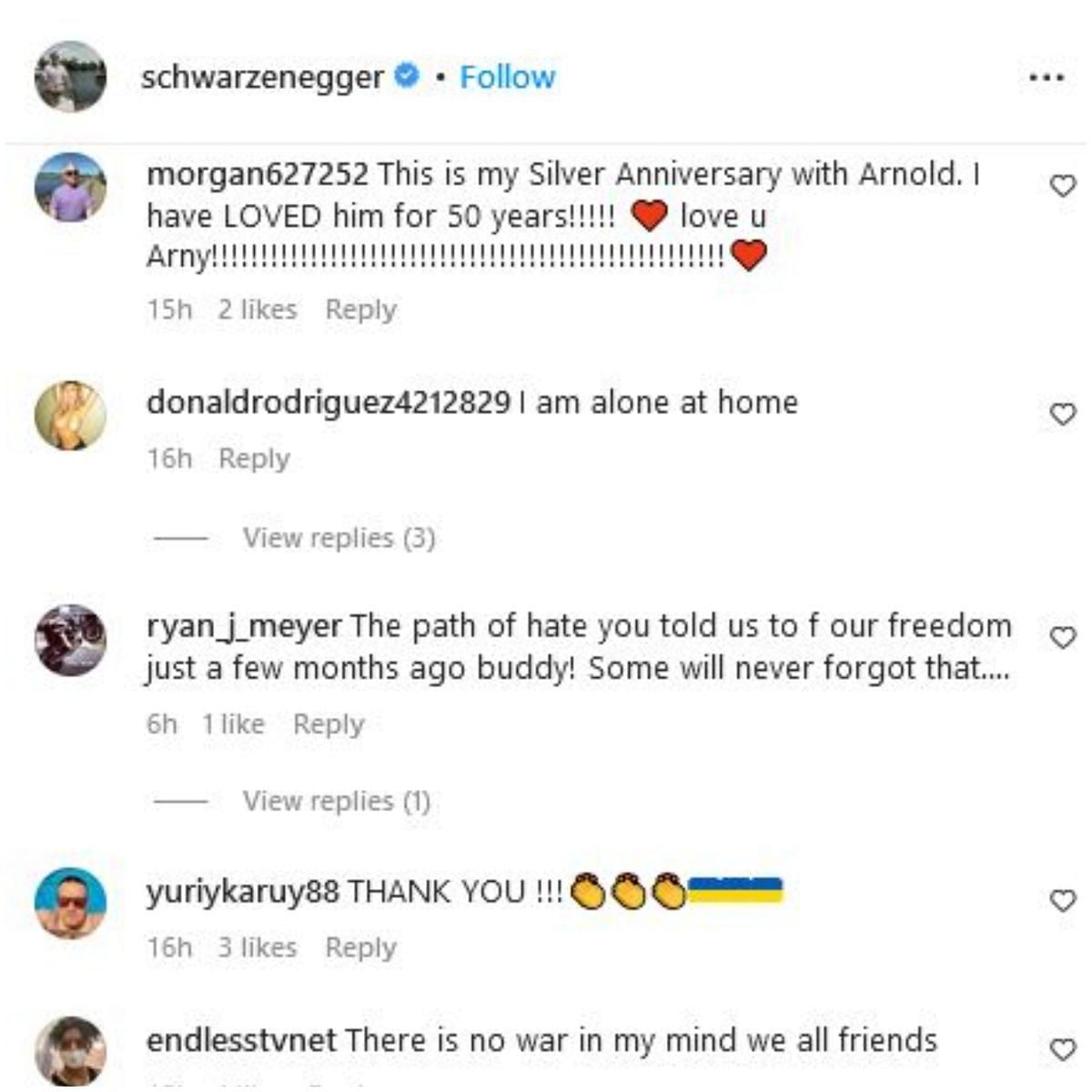 Screengrab of Arnold Schwarzenegger's Instagram comment section/@schwarzenegger